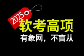 野人老师 2025软考高项 百度网盘下载